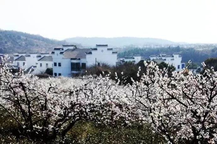 去年增收不增利，华秦科技股价较高点已腰斩，董监高抛最高2000万元回购计划